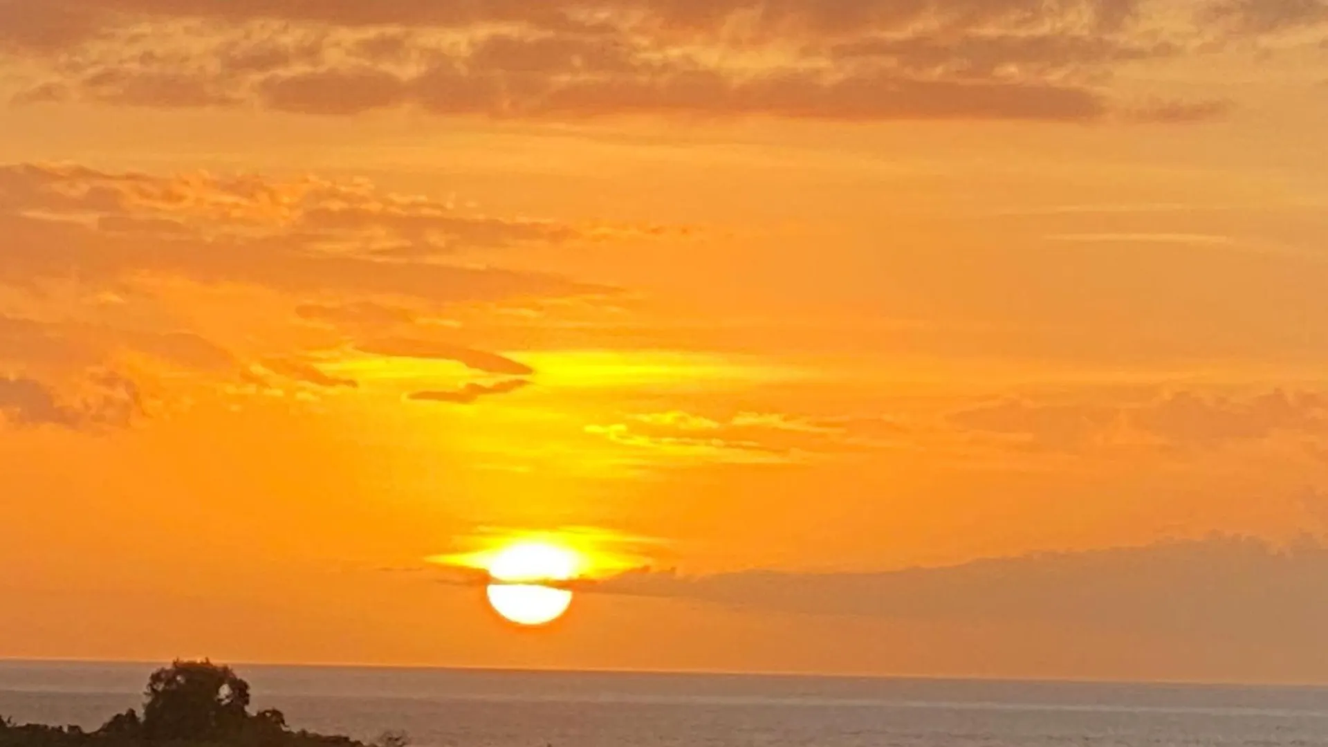 Διαμέρισμα 1Er Etage Vue Mer Villa La Mahaudiere A 300M De La Plage De Grande Anse A Pied Deshaies Γουαδελούπη