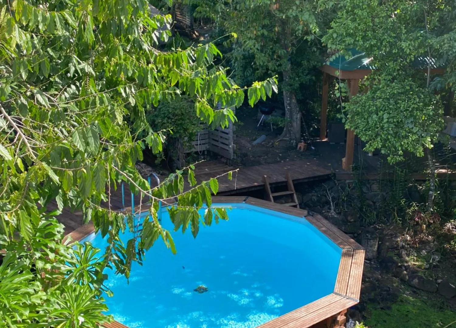 Διαμέρισμα 1Er Etage Vue Mer Villa La Mahaudiere A 300M De La Plage De Grande Anse A Pied Deshaies